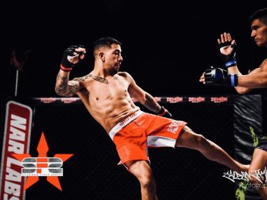 advancedmma.jpg advancedmma.jpg